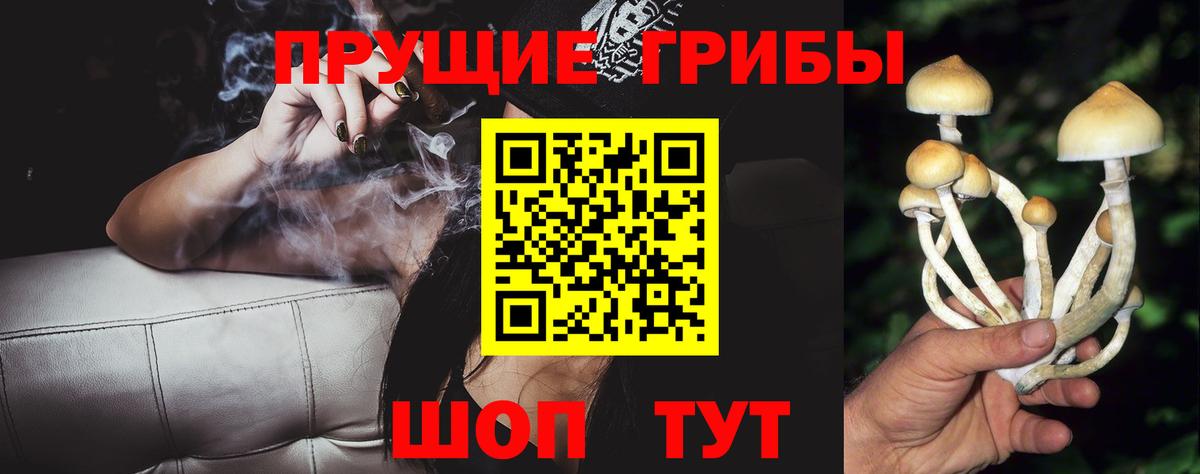 продажа наркотиков  Вход с VPN  Псилоцибиновые грибы Magic Shrooms  Прохладный  Псилоцибиновые грибы мухоморы 